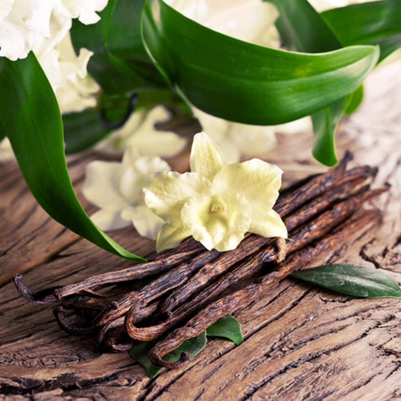 Sandalwood Vanilla