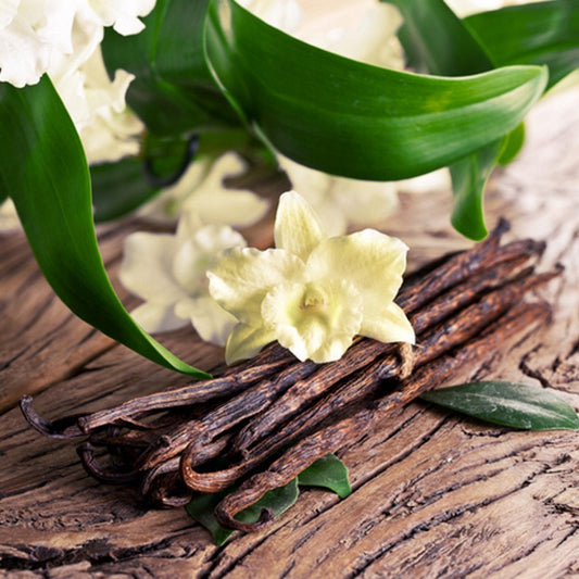 Sandalwood Vanilla